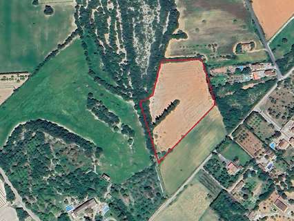Parcela rústica en venta en Manacor rebajada