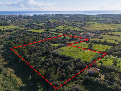 Parcela urbana en venta en Manacor