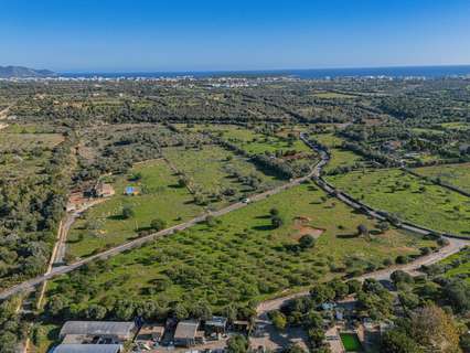 Parcela rústica en venta en Manacor