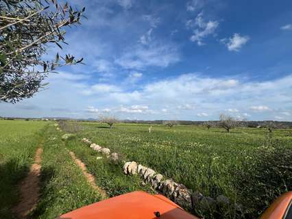 Parcela rústica en venta en Campos