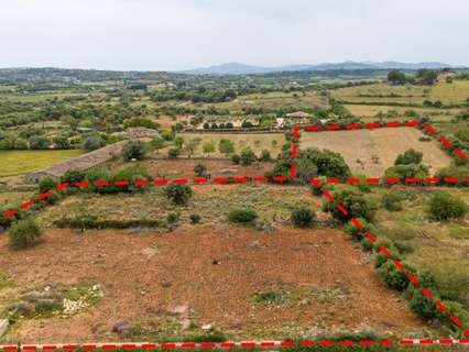 Parcela rústica en venta en Sant Llorenç des Cardassar