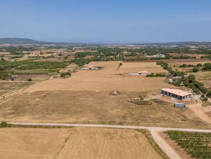 Casa rústica en venta en Manacor