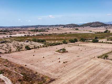 Parcela rústica en venta en Sineu