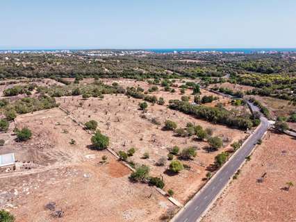 Parcela rústica en venta en Manacor