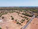 Parcela rústica en venta en Manacor