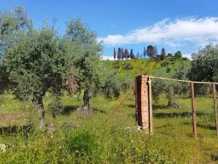 Parcela rústica en venta en Las Herencias rebajada