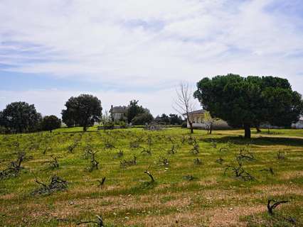 Parcela urbana en venta en Topas rebajada