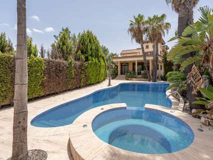 Casa en alquiler en Molina de Segura