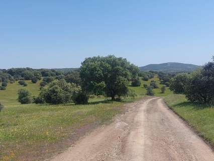 Parcela rústica en venta en Aldeaquemada