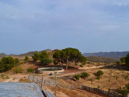Casa rústica en alquiler en Lorca