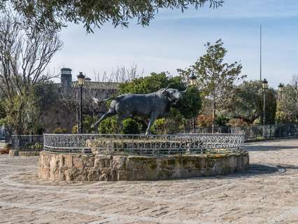 Parcela rústica en venta en Robledo de Chavela