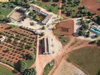 Piso en venta en Ossa de Montiel
