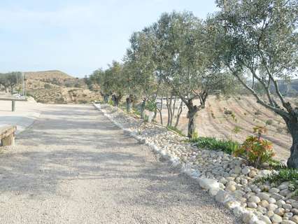 Parcela rústica en venta en Las Torres de Cotillas