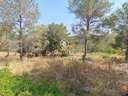 Parcela rústica en venta en Sant Pere de Ribes