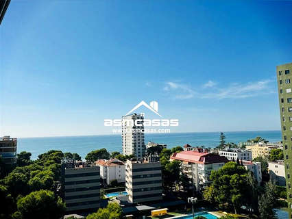 Apartamento en alquiler en Benicasim/Benicàssim