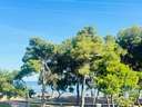 Apartamento en alquiler en Benicasim/Benicàssim
