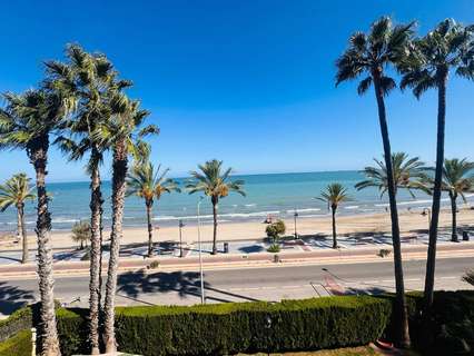 Apartamento en alquiler en Benicasim/Benicàssim
