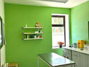 Local comercial en alquiler en Real Sitio de San Ildefonso
