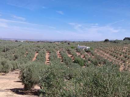 Casa en venta en Antequera