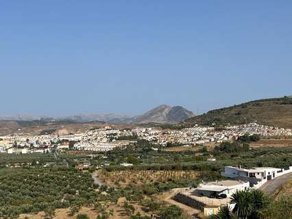 Parcela rústica en venta en Antequera