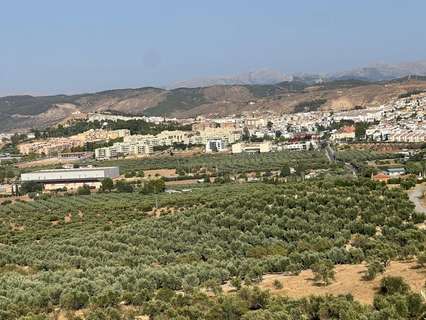 Parcela rústica en venta en Antequera