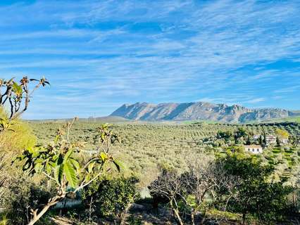 Casa en venta en Antequera