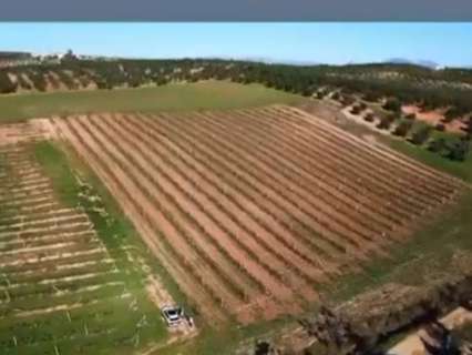 Parcela rústica en venta en Mollina rebajada