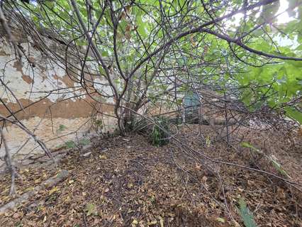 Parcela rústica en venta en Fuente de Piedra