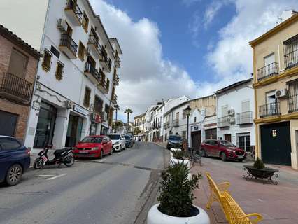 Parcela rústica en venta en Alameda