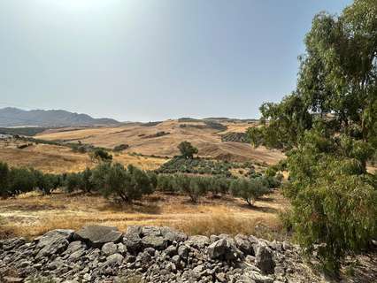 Parcela rústica en venta en Antequera