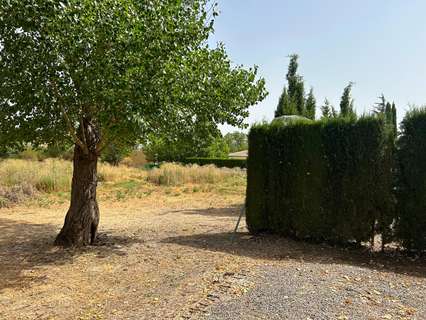 Parcela rústica en venta en Antequera