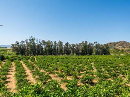 Parcela rústica en venta en Pizarra