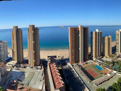 Estudio en venta en Benidorm