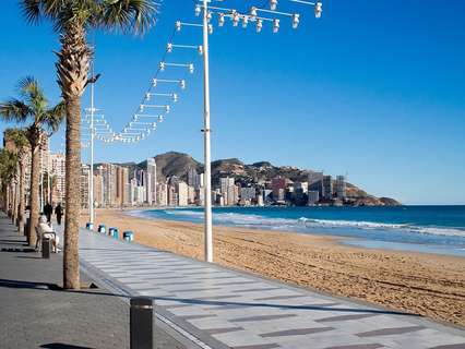 Local comercial en alquiler en Benidorm