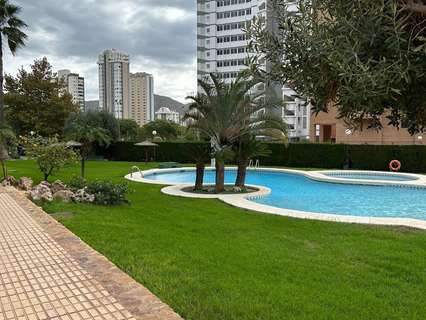 Apartamento en venta en Benidorm zona PUEBLO LEVANTE rebajado