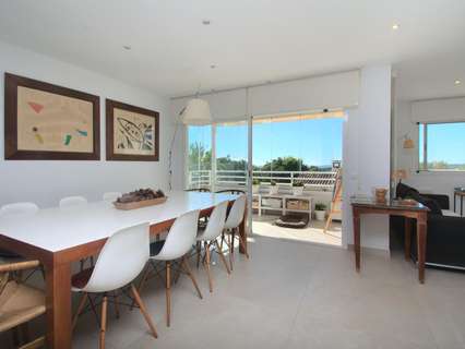 Planta baja en venta en Palma de Mallorca