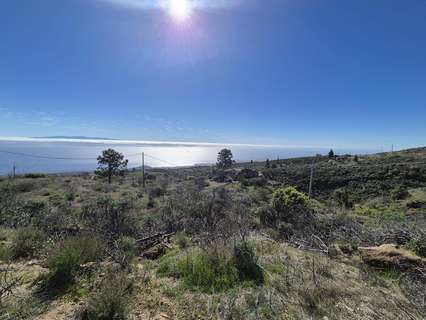 Parcela rústica en venta en Fasnia