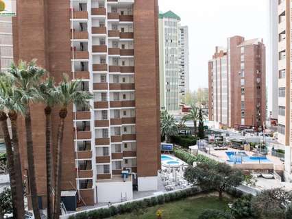 Apartamento en alquiler en Benidorm rebajado