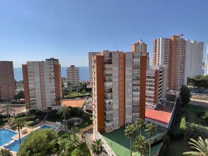 Apartamento en alquiler en Benidorm