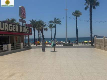 Local comercial en alquiler en Benidorm