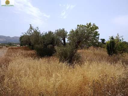 Parcela rústica en venta en L'Alfàs del Pi