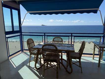 Piso en alquiler en Benidorm