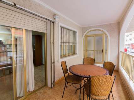 Apartamento en alquiler en Torrevieja