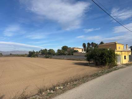 Parcela rústica en venta en Catral