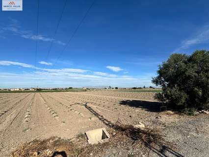 Parcela rústica en venta en San Fulgencio