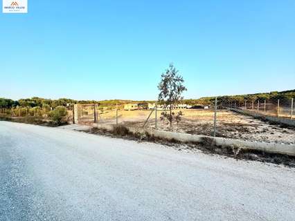 Parcela rústica en venta en Elche/Elx zona La Marina
