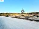 Parcela rústica en venta en Elche/Elx zona La Marina