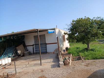 Parcela rústica en venta en Guardamar del Segura rebajada