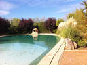 Chalet en venta en Argamasilla de Alba
