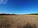 Parcela rústica en venta en Argamasilla de Alba rebajada